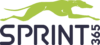 Sprint logo 100W